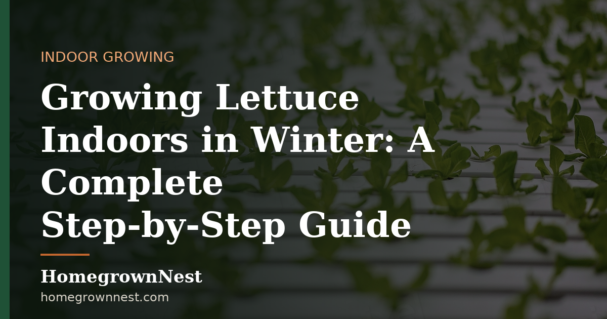 Growing Lettuce Indoors in Winter: A Complete Step-by-Step Guide