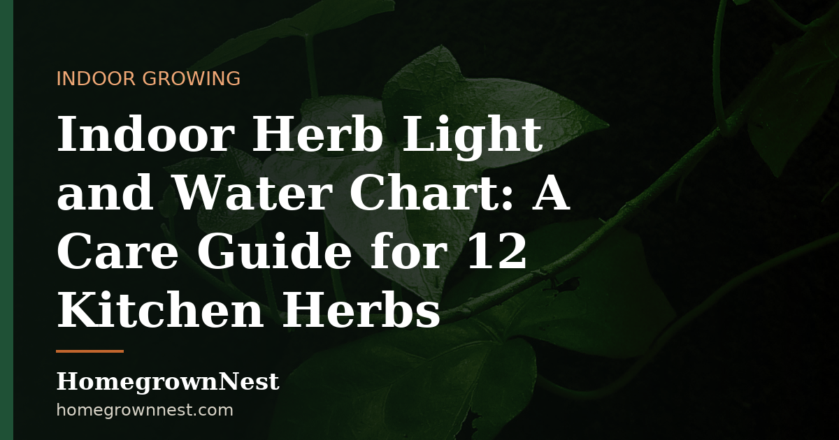 Indoor Herb Light and Water Chart: A Care Guide for 12 Kitchen Herbs