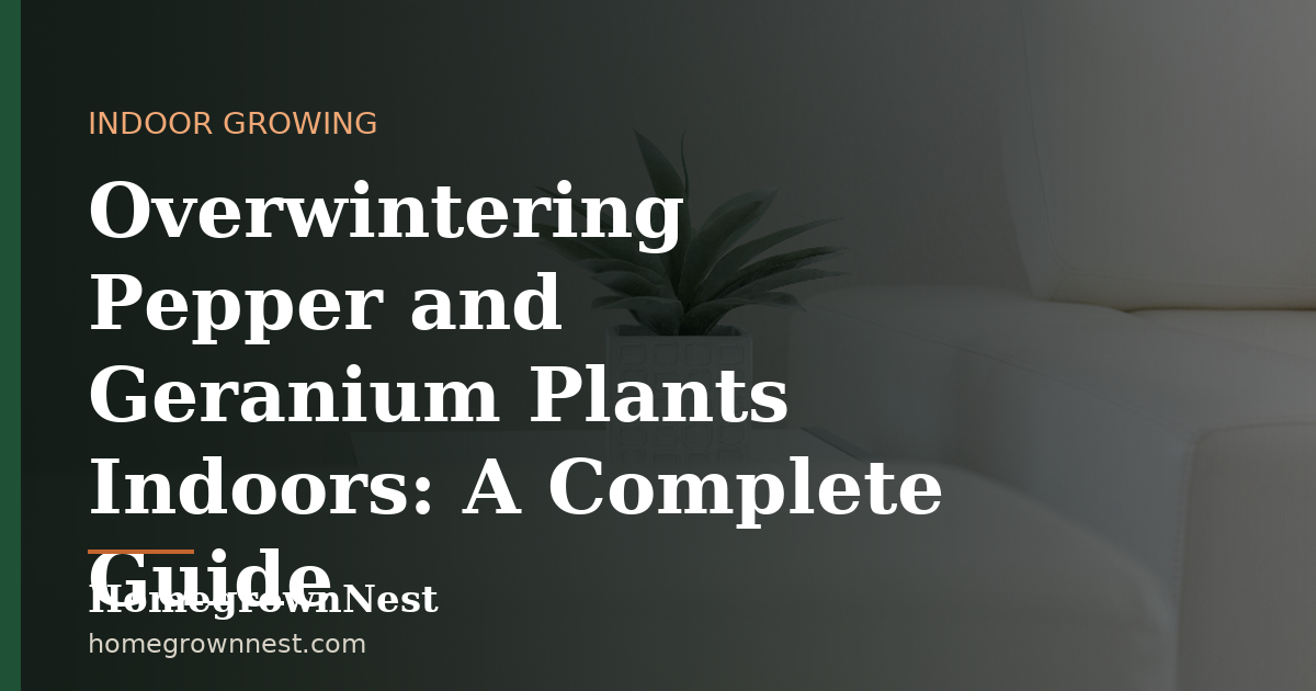 Overwintering Pepper and Geranium Plants Indoors: A Complete Guide
