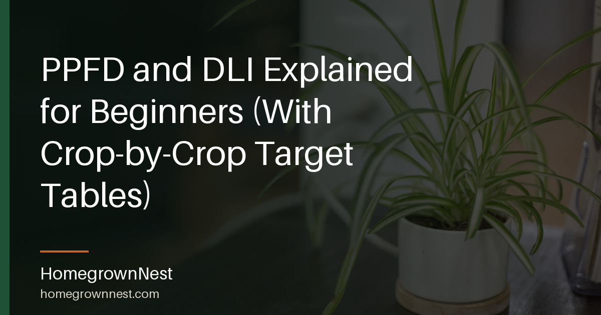 PPFD and DLI Explained for Beginners (With Crop-by-Crop Target Tables)